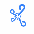 YATeam Organization
